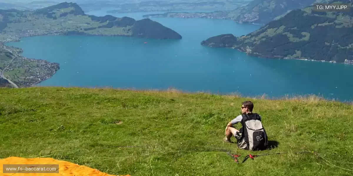 ⚔️🏅 强者较量,荣耀加冕!